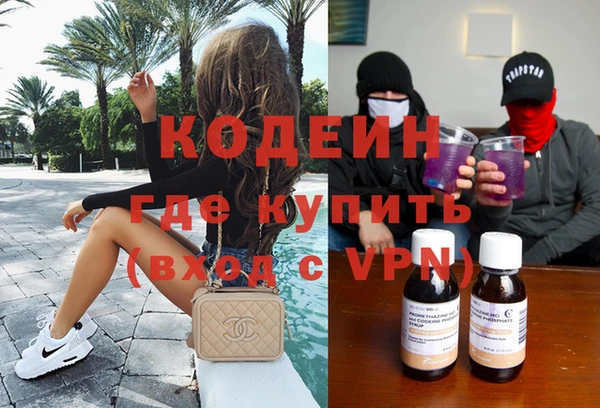 хмурый Алексин